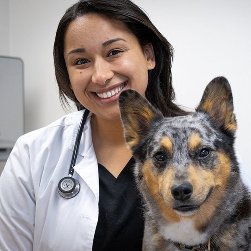 Dr. Christina Edlebeck